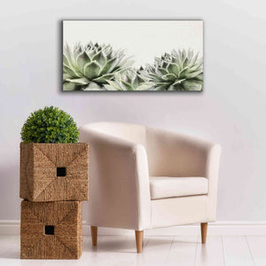 'Soft Succulents I' by Lori Deiter, Canvas Wall Art,40 x 20