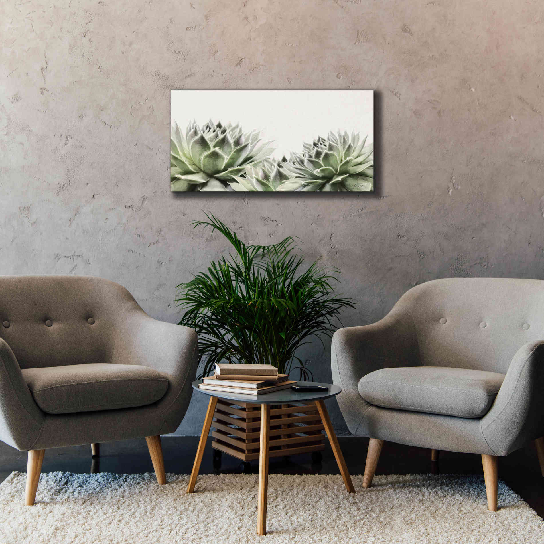 'Soft Succulents I' by Lori Deiter, Canvas Wall Art,40 x 20