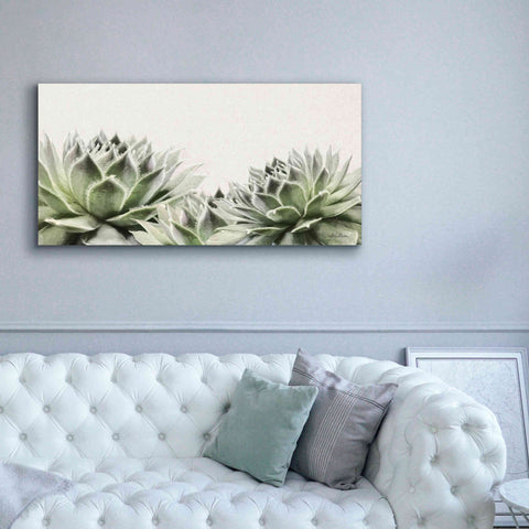 Image of 'Soft Succulents I' by Lori Deiter, Canvas Wall Art,60 x 30