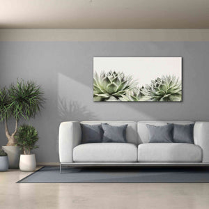 'Soft Succulents I' by Lori Deiter, Canvas Wall Art,60 x 30