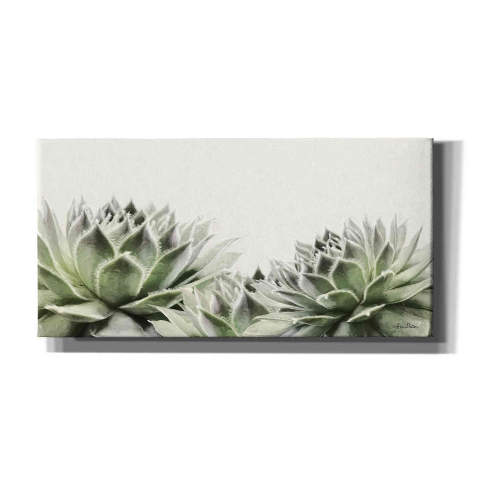 'Soft Succulents I' by Lori Deiter, Canvas Wall Art