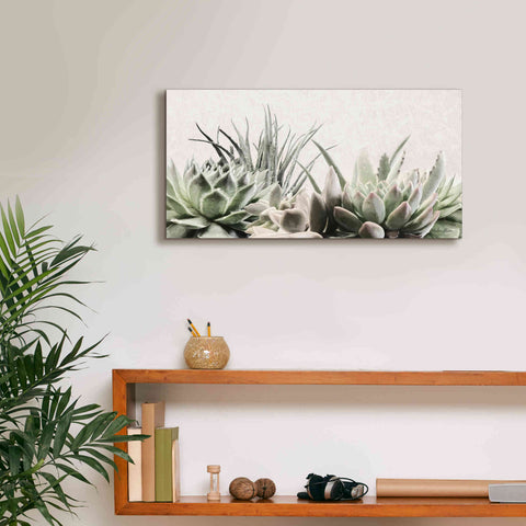Image of 'Soft Succulents II' by Lori Deiter, Canvas Wall Art,24 x 12