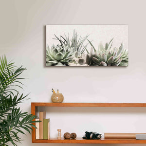 'Soft Succulents II' by Lori Deiter, Canvas Wall Art,24 x 12