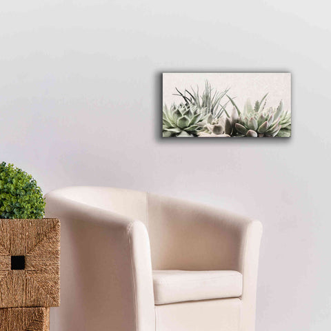 Image of 'Soft Succulents II' by Lori Deiter, Canvas Wall Art,24 x 12