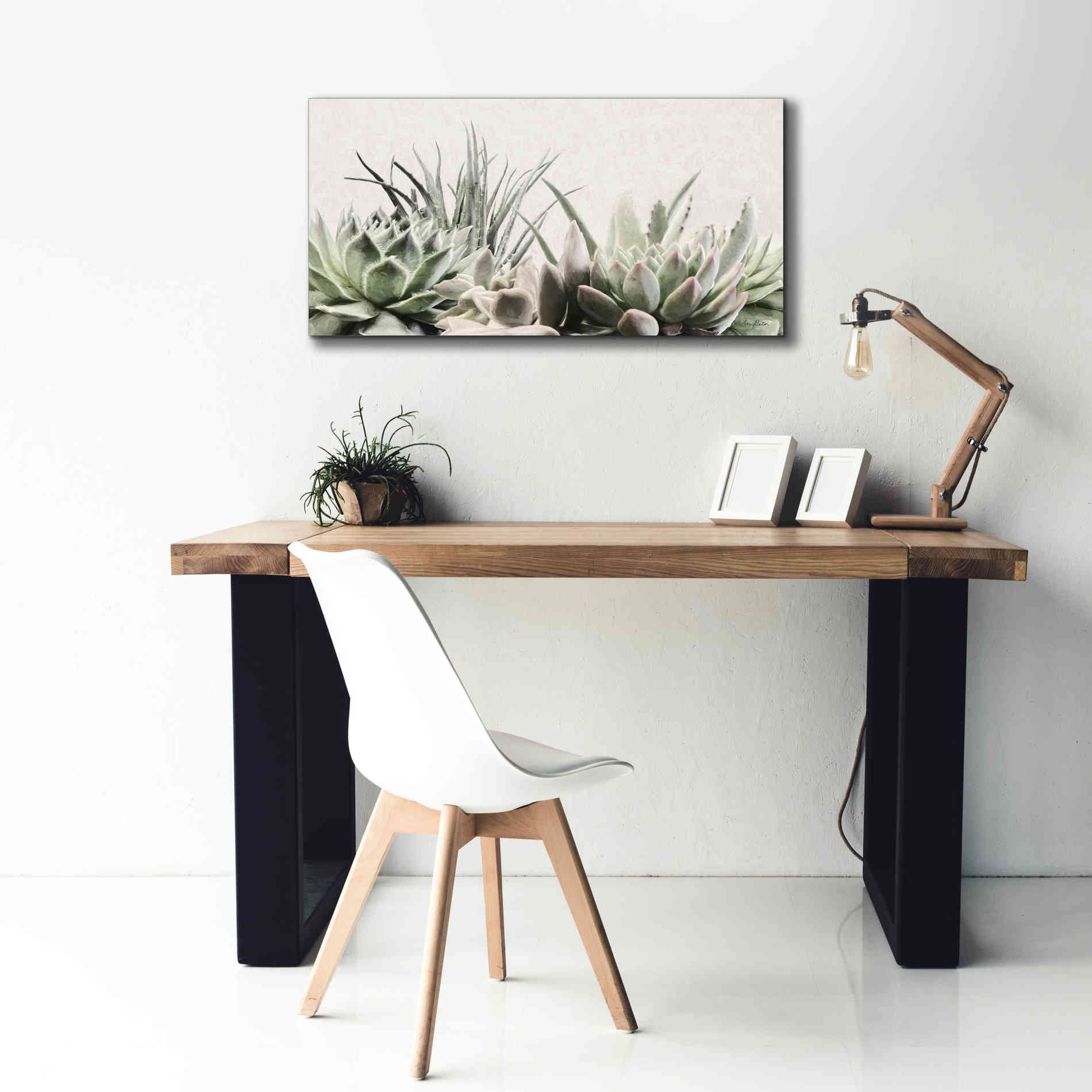 'Soft Succulents II' by Lori Deiter, Canvas Wall Art,40 x 20