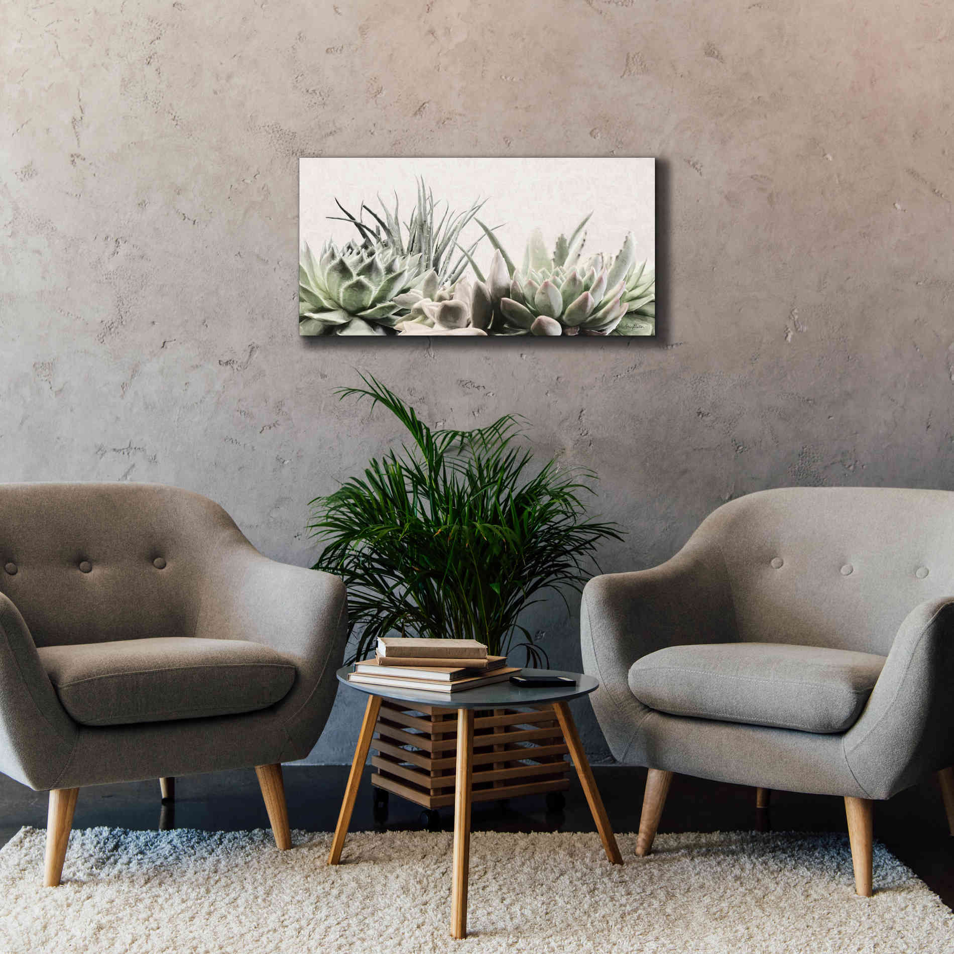 'Soft Succulents II' by Lori Deiter, Canvas Wall Art,40 x 20
