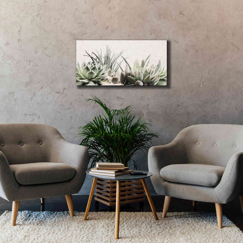 Image of 'Soft Succulents II' by Lori Deiter, Canvas Wall Art,40 x 20