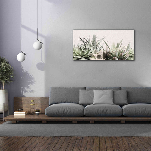 Image of 'Soft Succulents II' by Lori Deiter, Canvas Wall Art,60 x 30