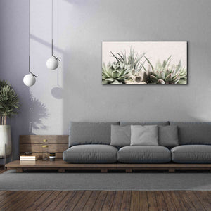 'Soft Succulents II' by Lori Deiter, Canvas Wall Art,60 x 30
