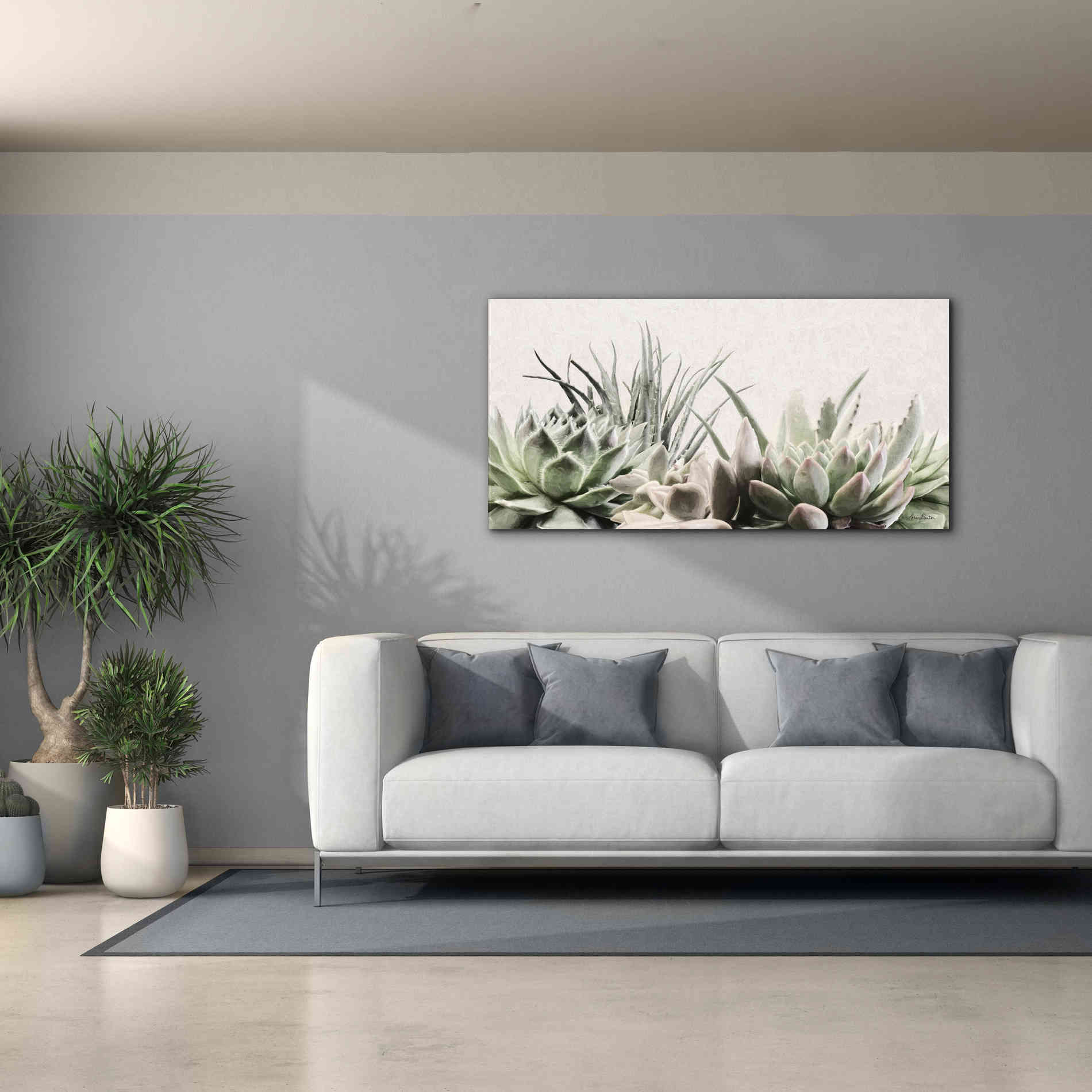 'Soft Succulents II' by Lori Deiter, Canvas Wall Art,60 x 30