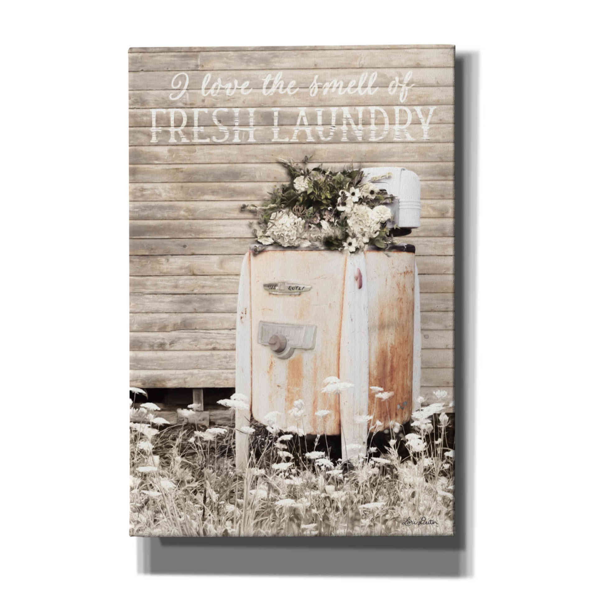 'Fresh Laundry' by Lori Deiter, Canvas Wall Art