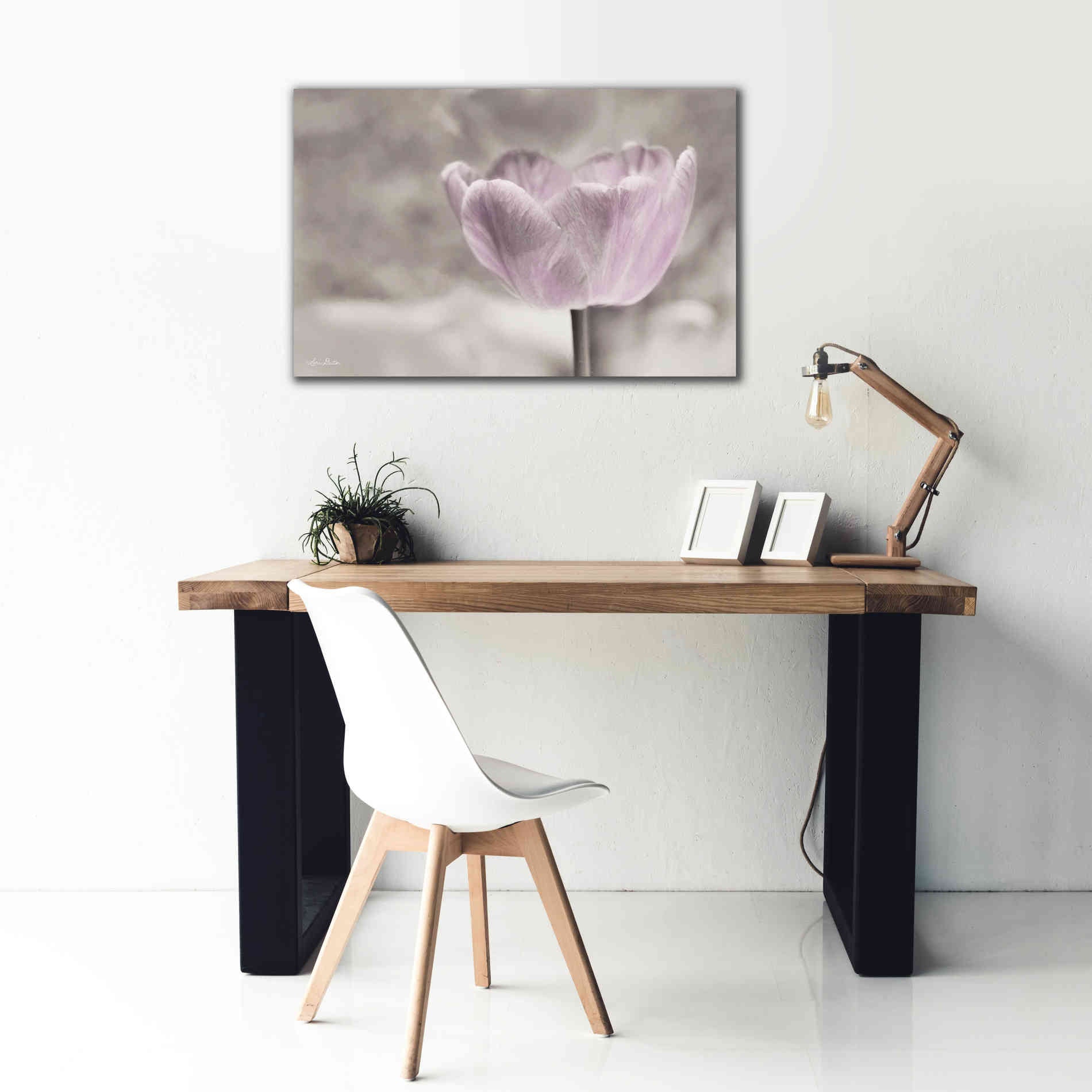 'Violet Tulip' by Lori Deiter, Canvas Wall Art,40 x 26