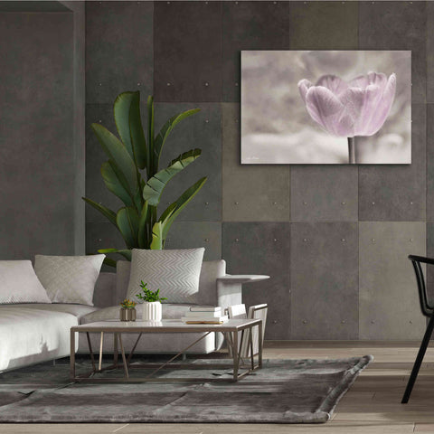 Image of 'Violet Tulip' by Lori Deiter, Canvas Wall Art,60 x 40