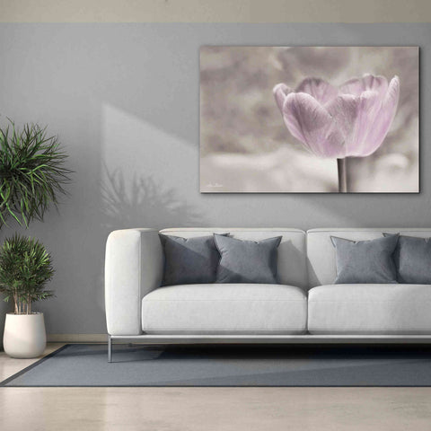 Image of 'Violet Tulip' by Lori Deiter, Canvas Wall Art,60 x 40