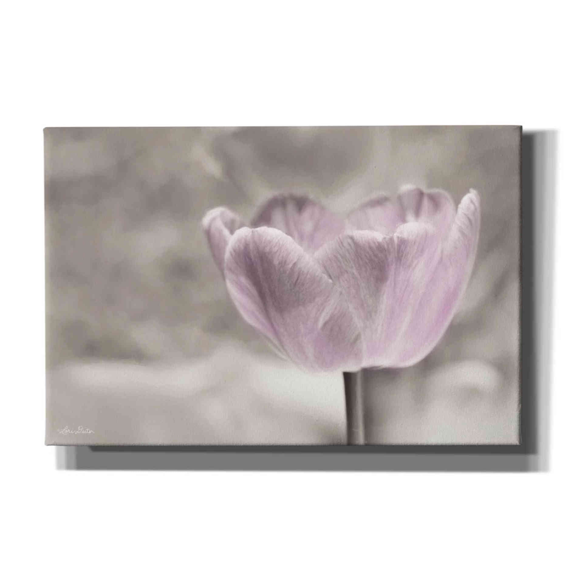 'Violet Tulip' by Lori Deiter, Canvas Wall Art