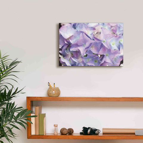 Image of 'Violet Hydrangeas' by Lori Deiter, Canvas Wall Art,18 x 12