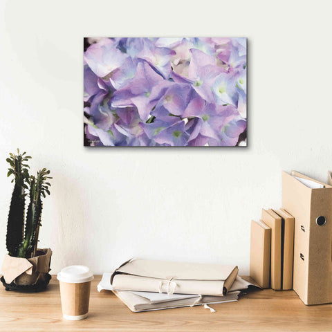 Image of 'Violet Hydrangeas' by Lori Deiter, Canvas Wall Art,18 x 12