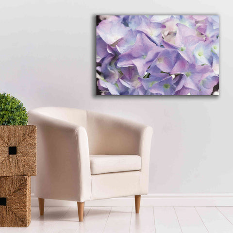 Image of 'Violet Hydrangeas' by Lori Deiter, Canvas Wall Art,40 x 26