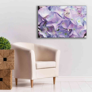 'Violet Hydrangeas' by Lori Deiter, Canvas Wall Art,40 x 26