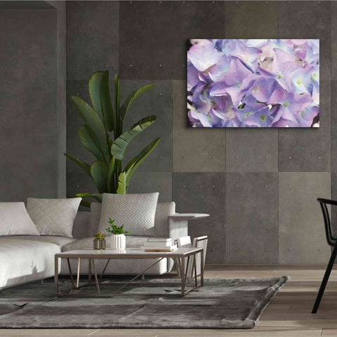 Image of 'Violet Hydrangeas' by Lori Deiter, Canvas Wall Art,60 x 40