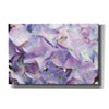 'Violet Hydrangeas' by Lori Deiter, Canvas Wall Art