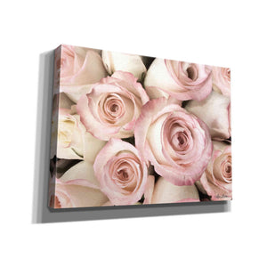 'Top View - Pink Roses' by Lori Deiter, Canvas Wall Art