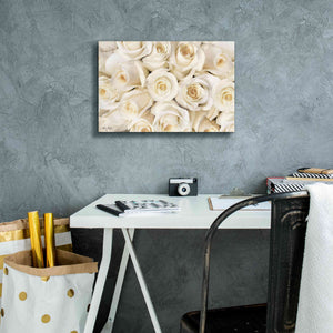 'Top View - White Roses' by Lori Deiter, Canvas Wall Art,18 x 12