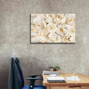 'Top View - White Roses' by Lori Deiter, Canvas Wall Art,40 x 26