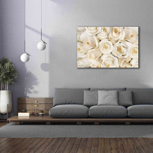 'Top View - White Roses' by Lori Deiter, Canvas Wall Art,60 x 40