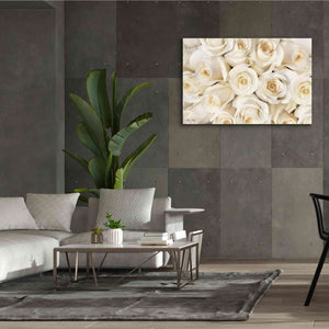 'Top View - White Roses' by Lori Deiter, Canvas Wall Art,60 x 40