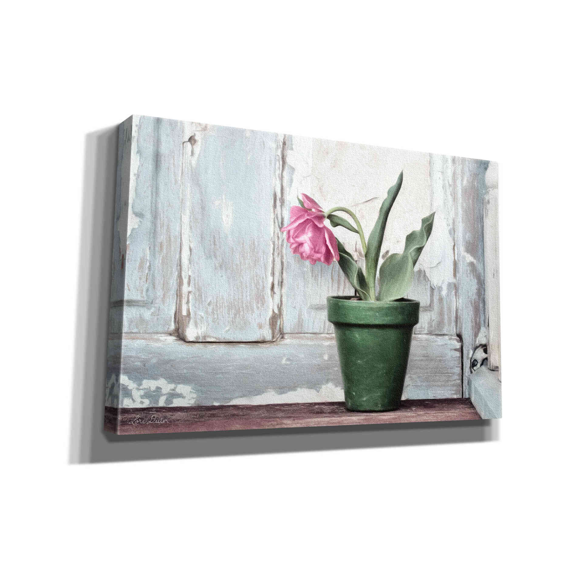 'Take a Bow Tulip' by Lori Deiter, Canvas Wall Art