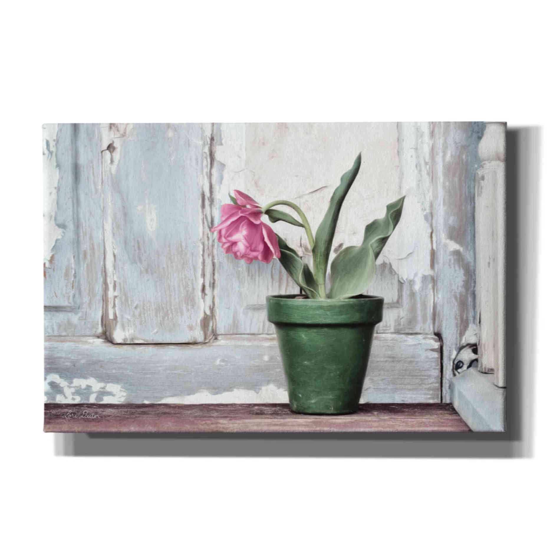 'Take a Bow Tulip' by Lori Deiter, Canvas Wall Art