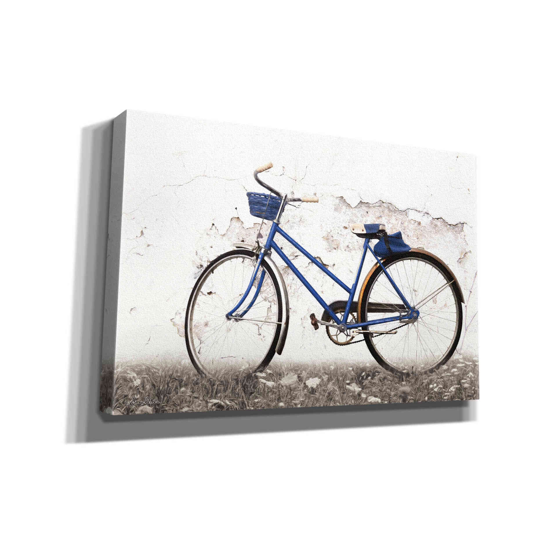 'Keep Your Balance' by Lori Deiter, Canvas Wall Art