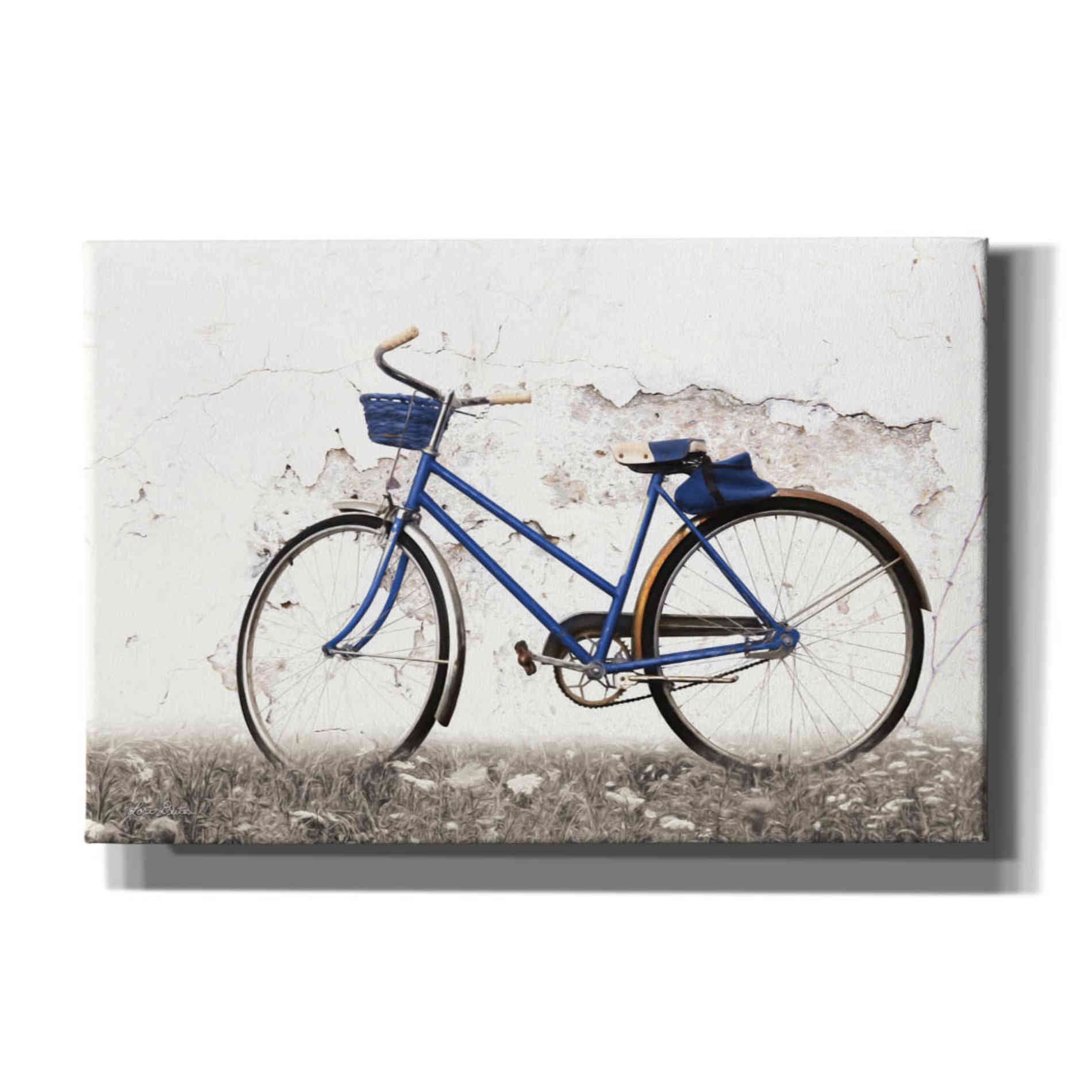 'Keep Your Balance' by Lori Deiter, Canvas Wall Art