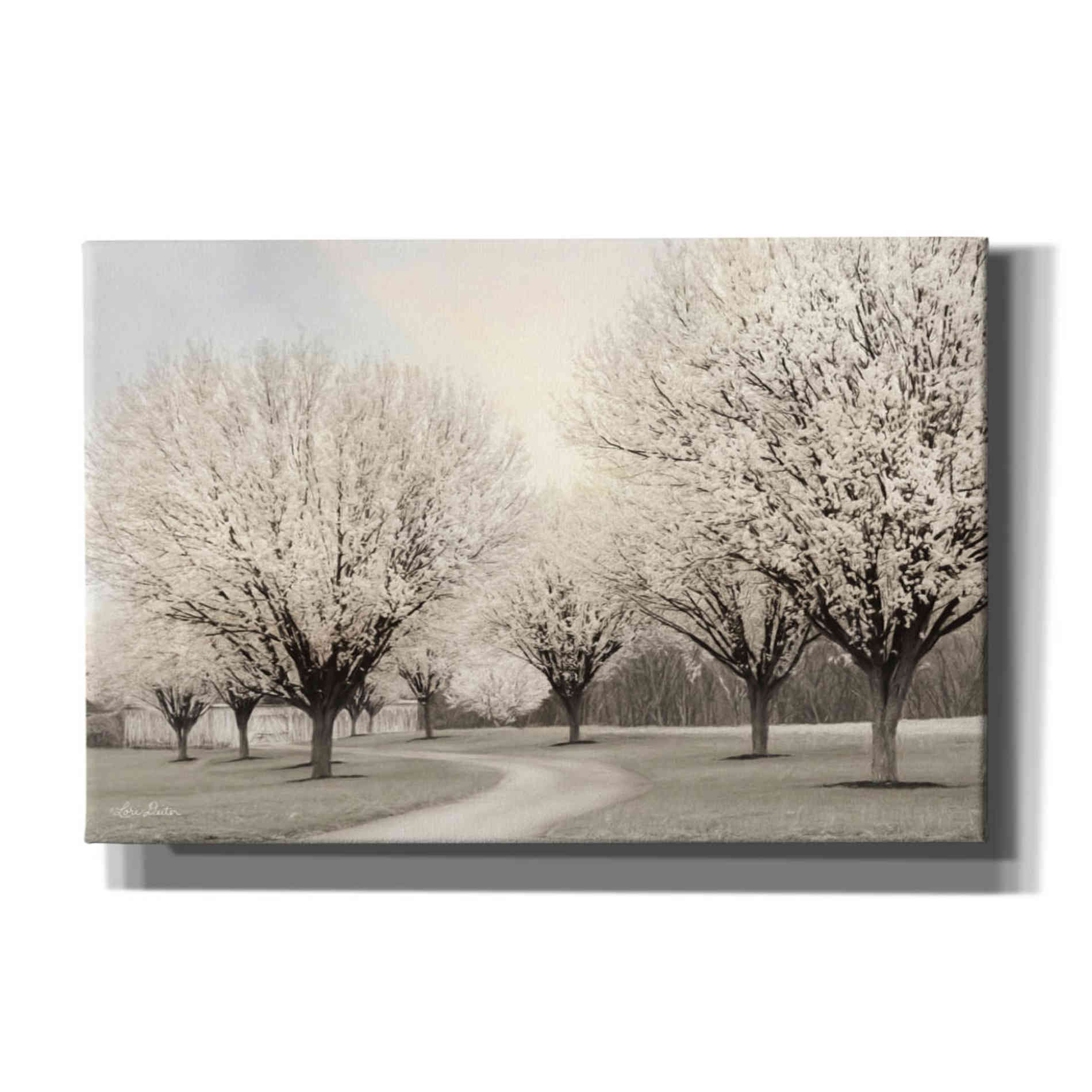 'In Full Bloom' by Lori Deiter, Canvas Wall Art