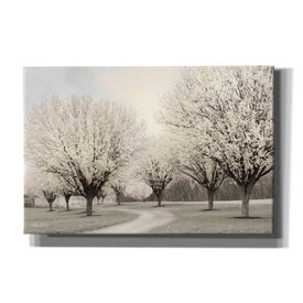 'In Full Bloom' by Lori Deiter, Canvas Wall Art