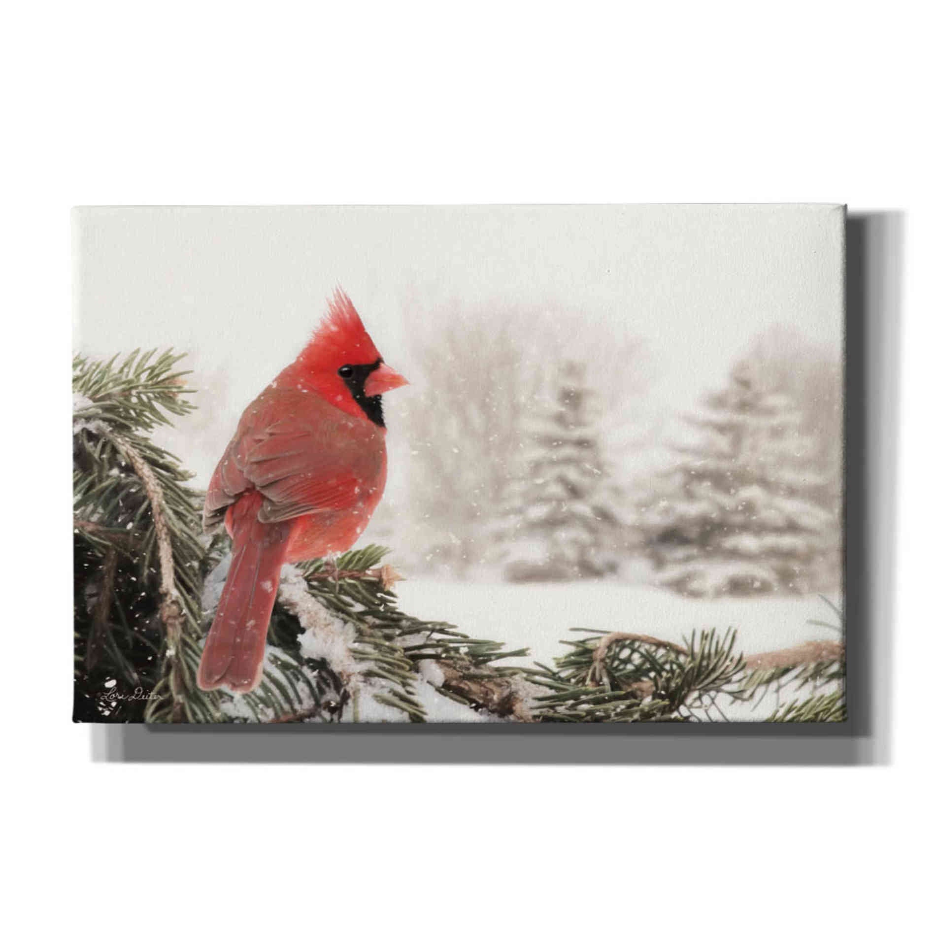 'Winter Perch' by Lori Deiter, Canvas Wall Art