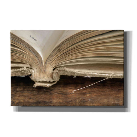 Image of 'Page 108' by Lori Deiter, Canvas Wall Art