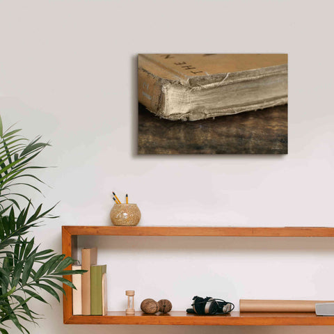 Image of 'Well Read' by Lori Deiter, Canvas Wall Art,18 x 12