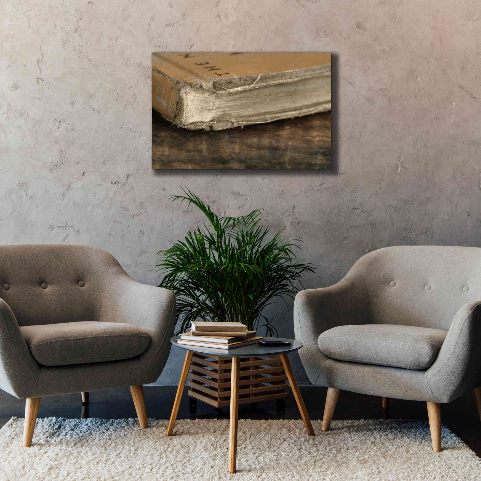 'Well Read' by Lori Deiter, Canvas Wall Art,40 x 26