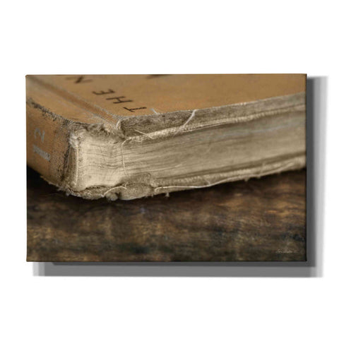 Image of 'Well Read' by Lori Deiter, Canvas Wall Art