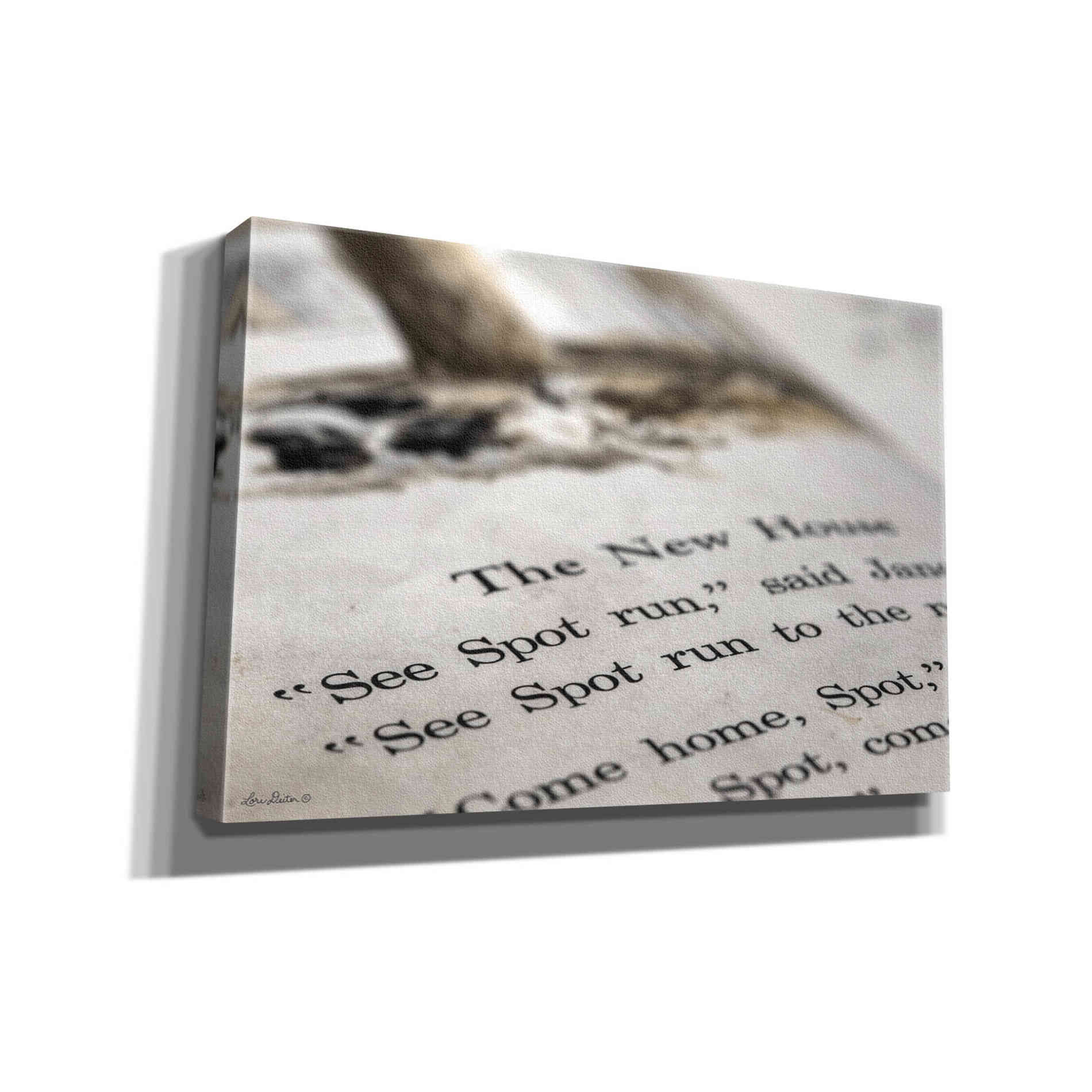 'See Spot Run' by Lori Deiter, Canvas Wall Art