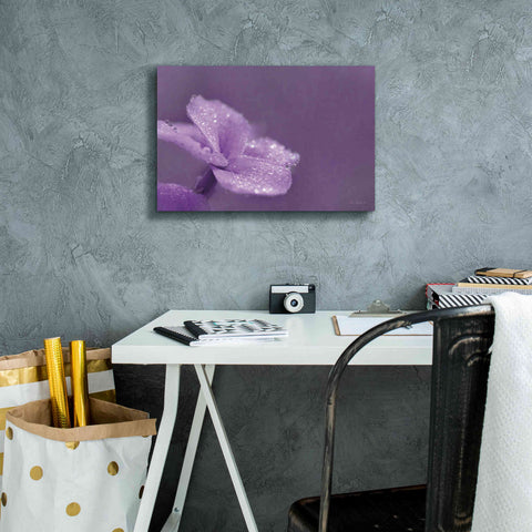 Image of 'Purple Dew' by Lori Deiter, Canvas Wall Art,18 x 12