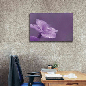 'Purple Dew' by Lori Deiter, Canvas Wall Art,40 x 26