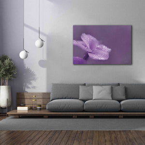 'Purple Dew' by Lori Deiter, Canvas Wall Art,60 x 40