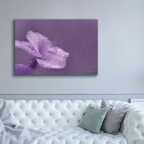 Image of 'Purple Dew' by Lori Deiter, Canvas Wall Art,60 x 40