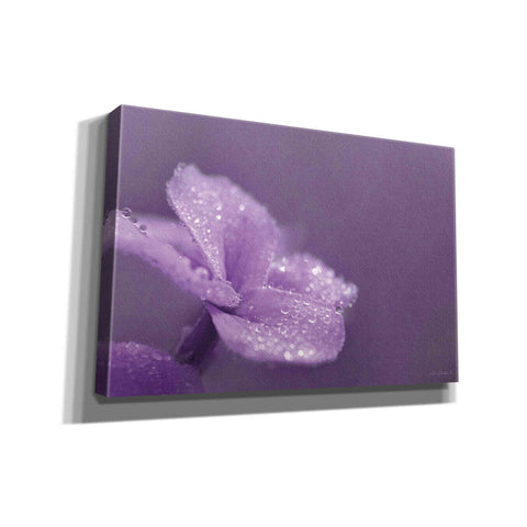 Image of 'Purple Dew' by Lori Deiter, Canvas Wall Art