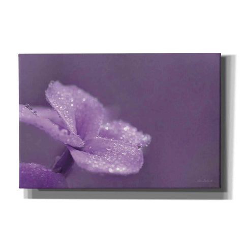 Image of 'Purple Dew' by Lori Deiter, Canvas Wall Art