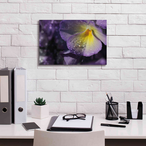 Image of 'Purple Pansy' by Lori Deiter, Canvas Wall Art,18 x 12