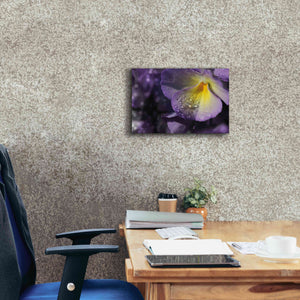 'Purple Pansy' by Lori Deiter, Canvas Wall Art,18 x 12